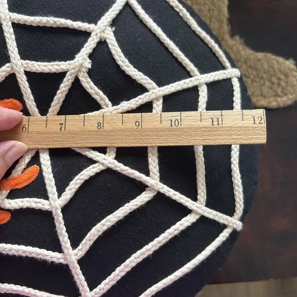 Pier 1 Spider & Web Round Pillow